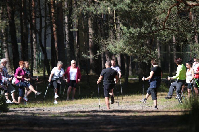 Nordic walking Nordic walking Zdrowotel