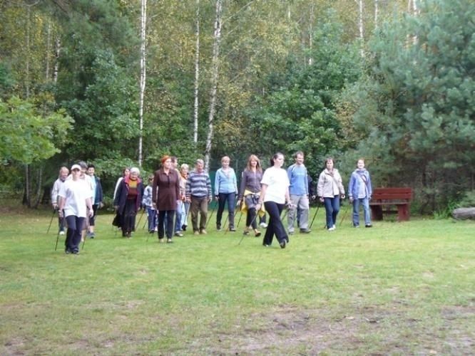 Nordic Walking wymarsze z kijkami nordic walking dla seniora Sosenka