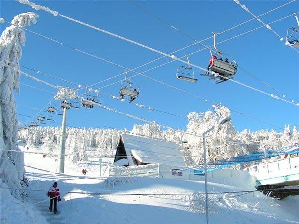 Trasy narciarskie w Zieleńcu  Storczyk
