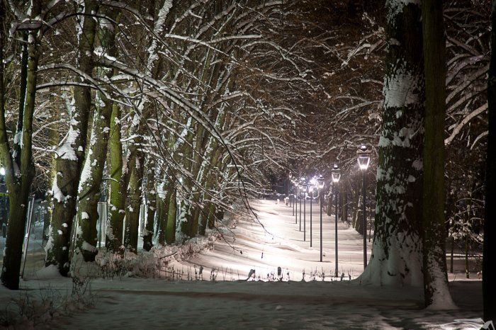 Polanica zimą Park Malwa