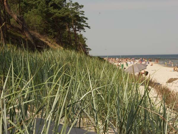 Plaża w Dźwirzynie Dorwit